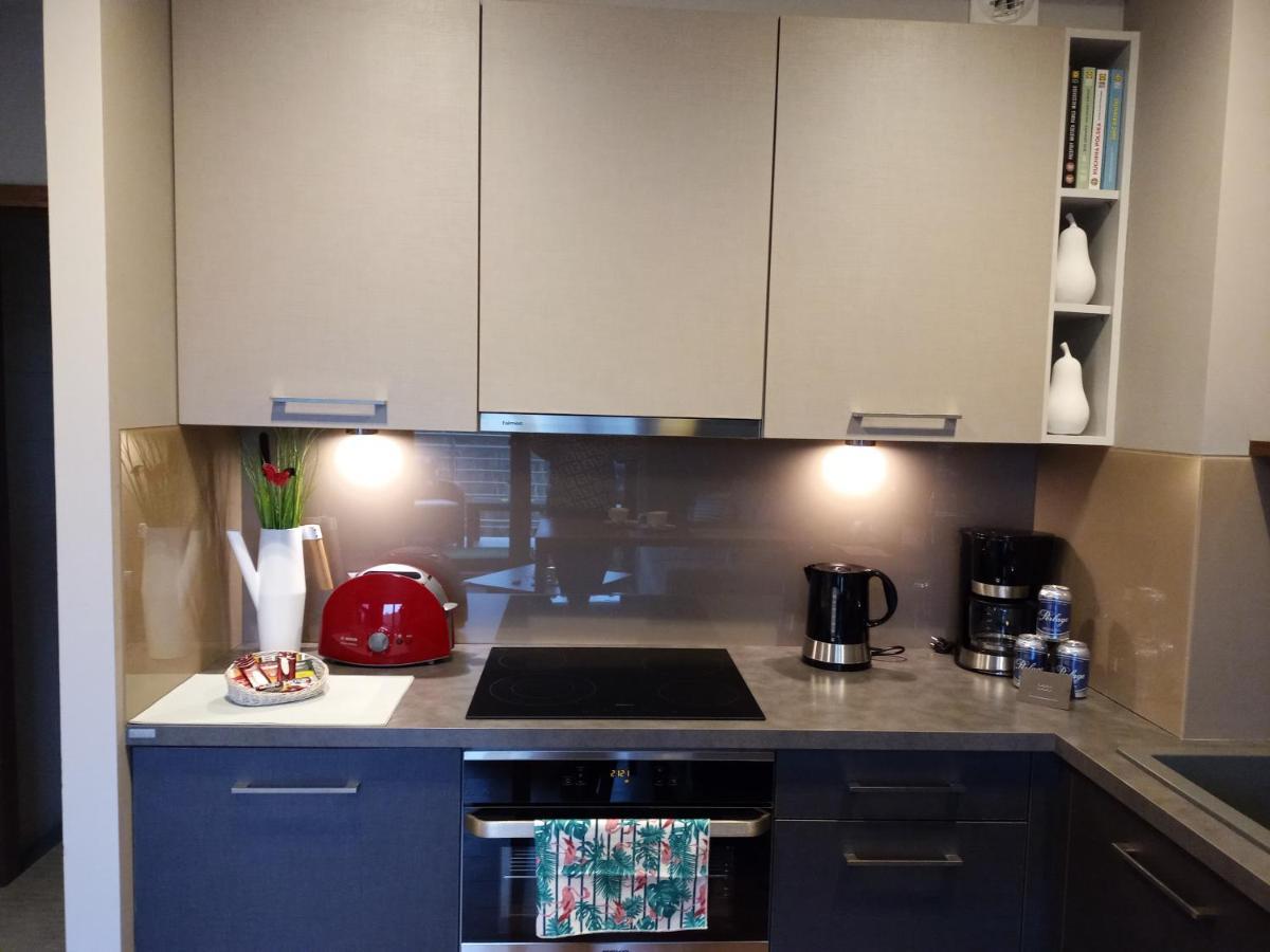 Apartament Z Widokiem Na Morze دجيفنوفيك المظهر الخارجي الصورة