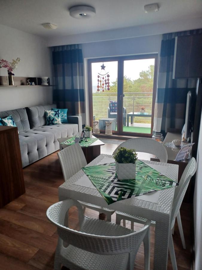 Apartament Z Widokiem Na Morze دجيفنوفيك المظهر الخارجي الصورة
