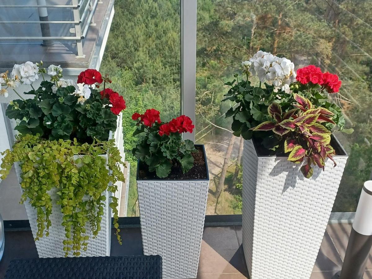 Apartament Z Widokiem Na Morze دجيفنوفيك المظهر الخارجي الصورة